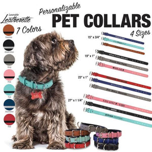 Custom Engraved Pet Collars