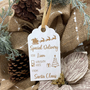 Special Delivery Gift/Stocking Tag